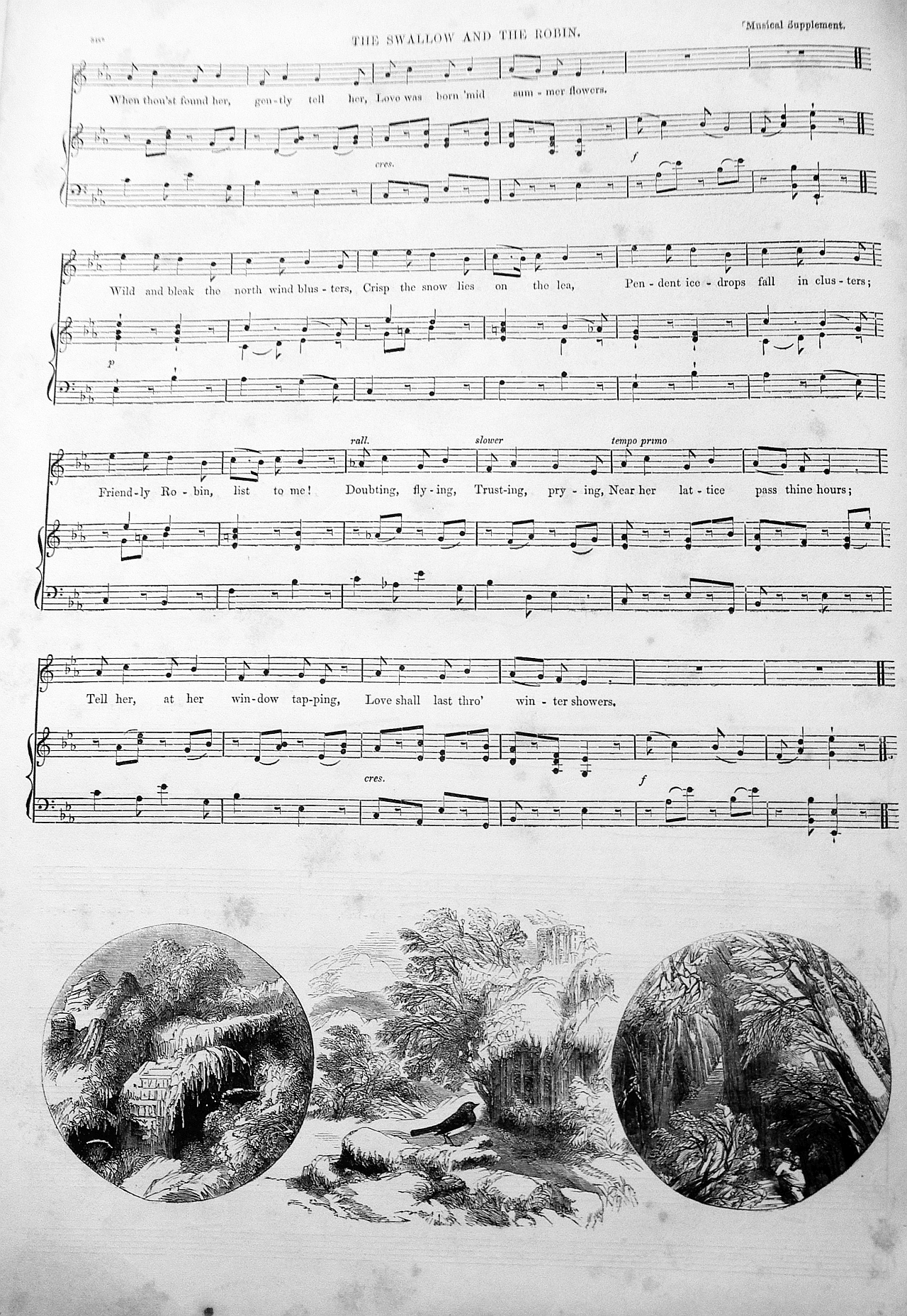 The swallow and the robin may 1 1852 2